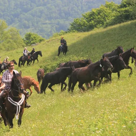 D'etape & De Sejour *